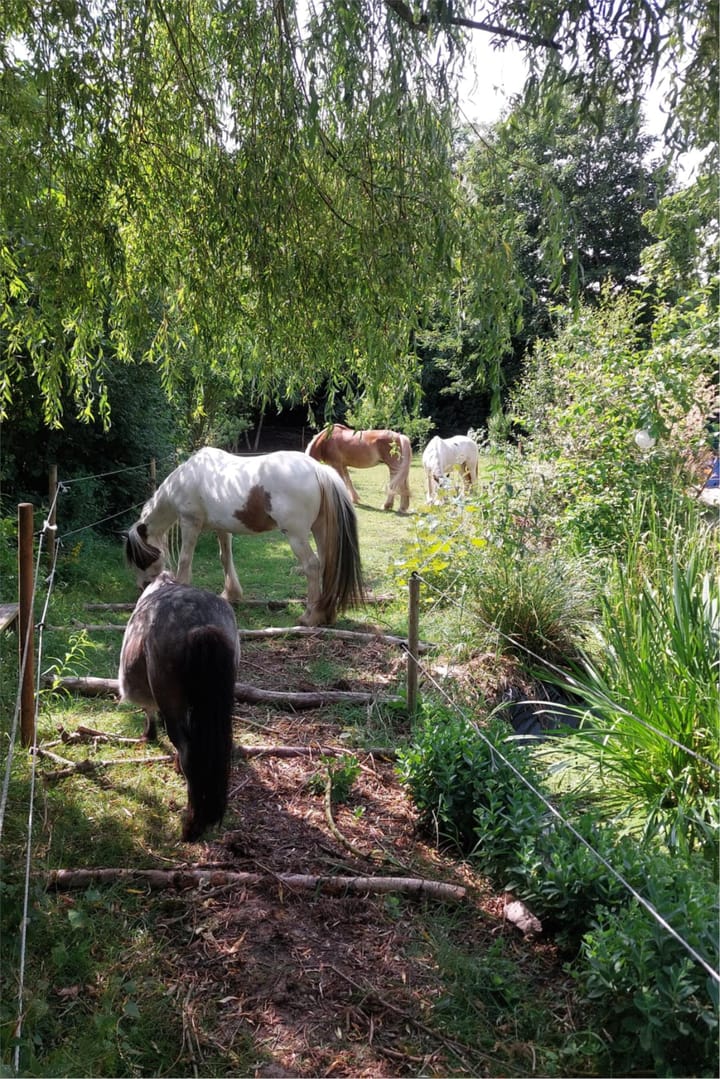 Photo 50 of Oosterdiep WZ 36