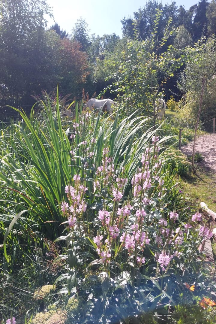 Photo 51 of Oosterdiep WZ 36