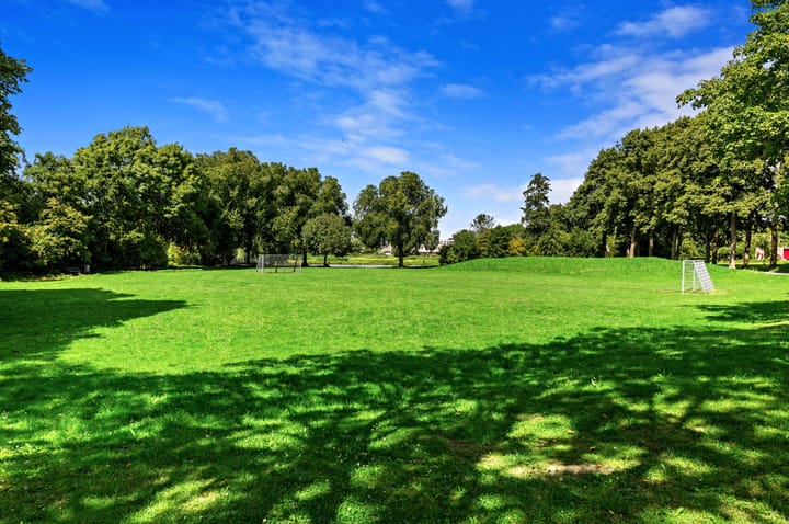 Foto 49 van Biggenweide 20