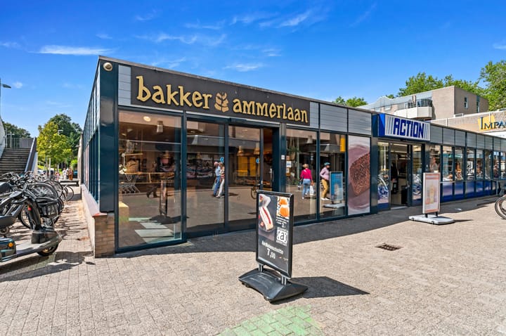 Foto 58 van Biggenweide 20