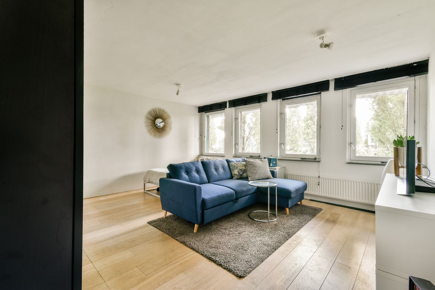 Foto 20 van Rietlandterras 30