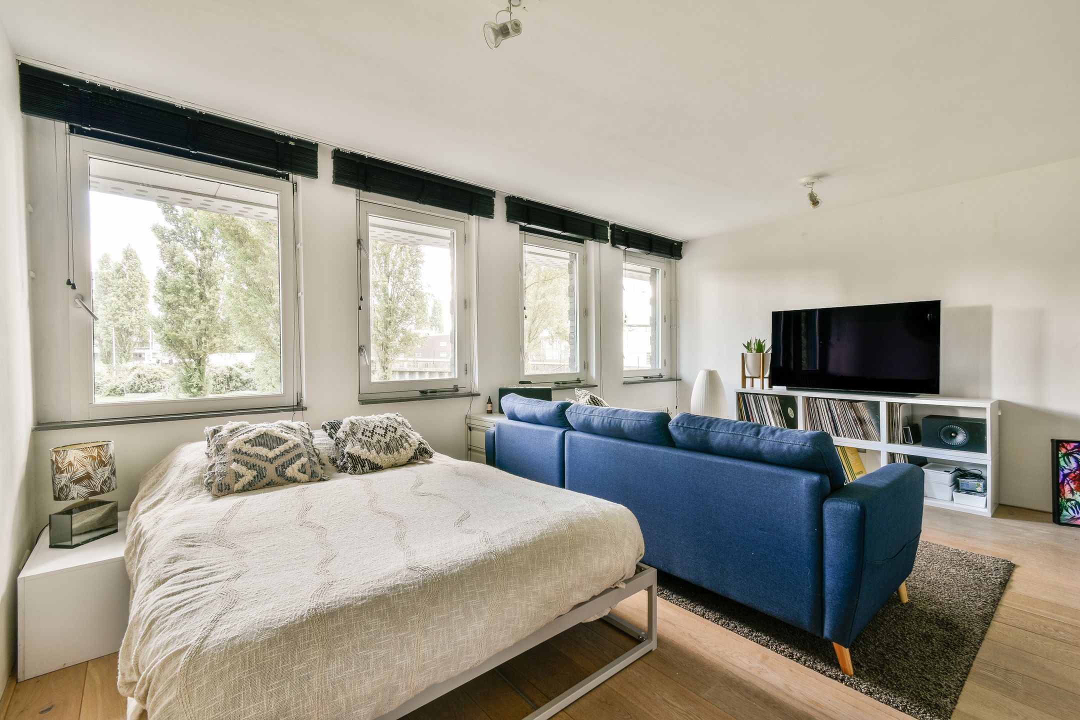 Foto 21 van Rietlandterras 30