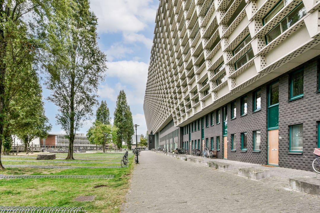 Foto 28 van Rietlandterras 30