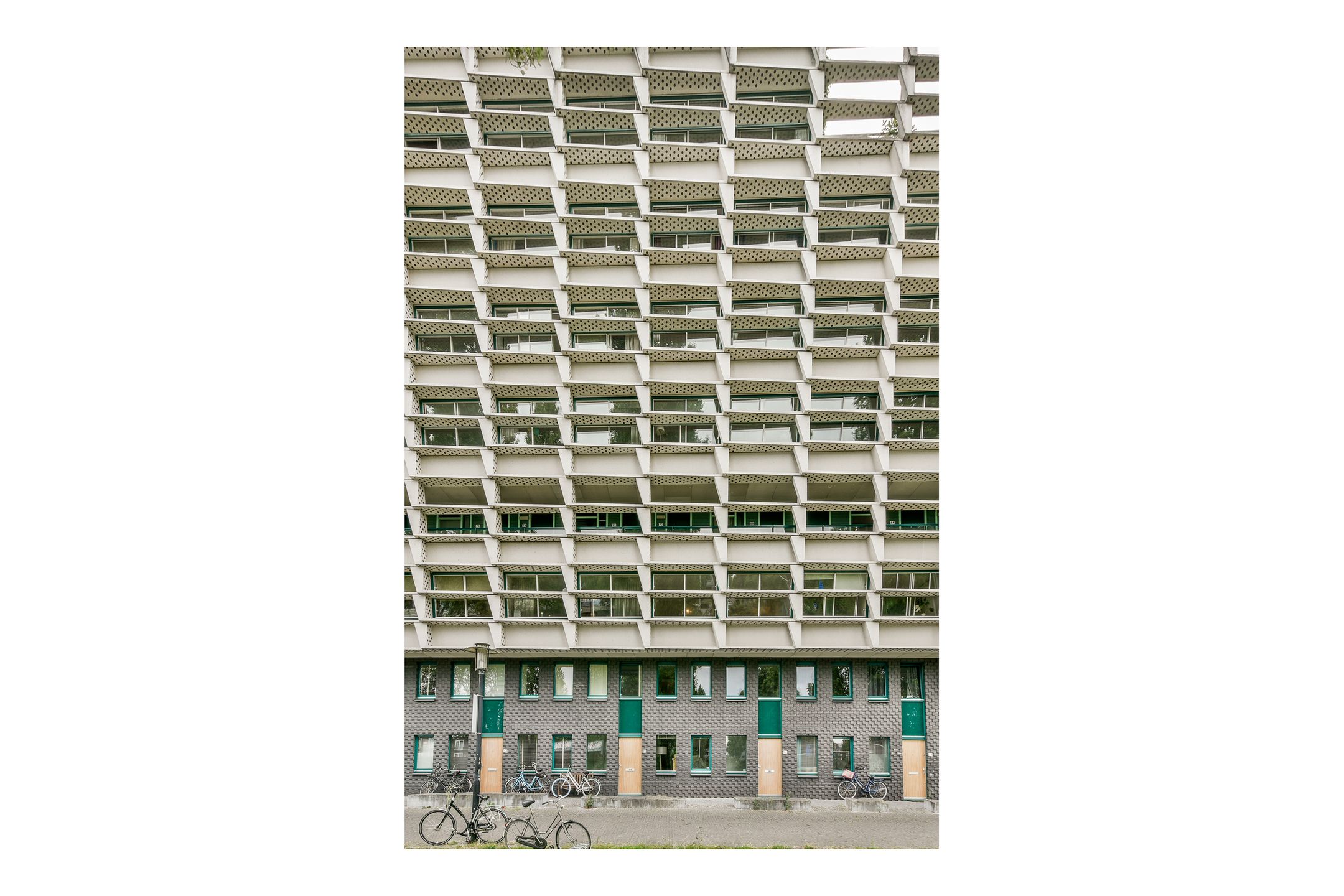 Foto 30 van Rietlandterras 30