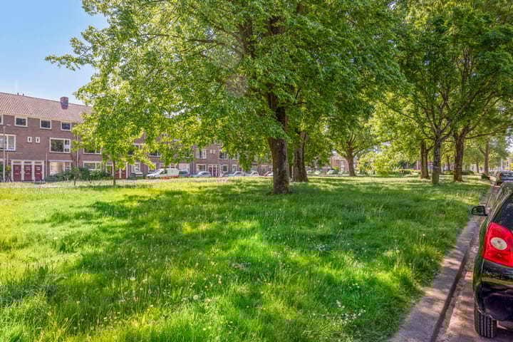 Foto 4 van Groene Weide 32