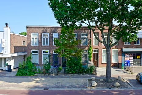 undefined main image