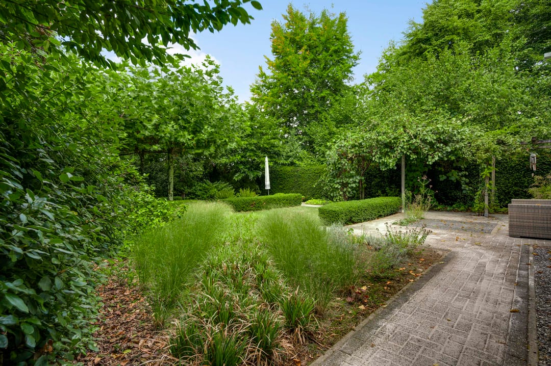 Photo 32 of Bruine Akkers 141