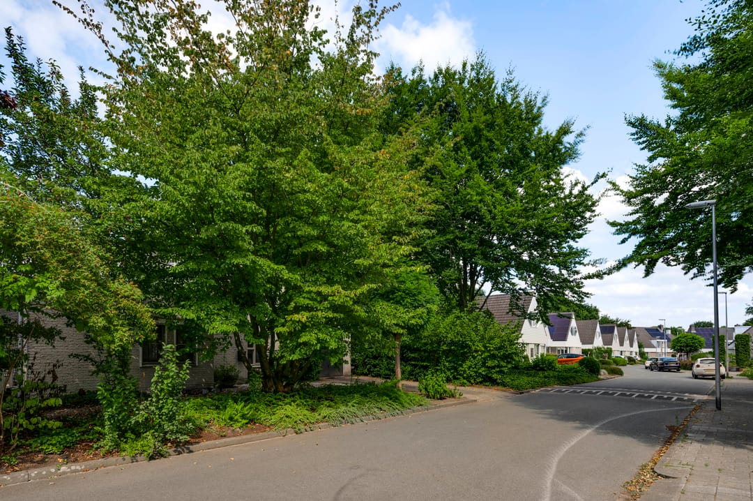 Photo 38 of Bruine Akkers 141