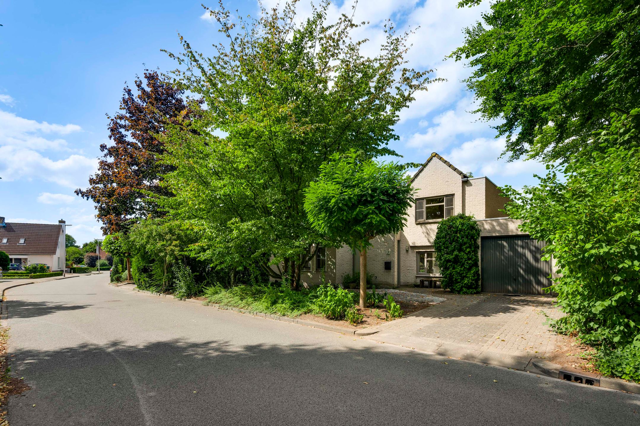 Photo 39 of Bruine Akkers 141