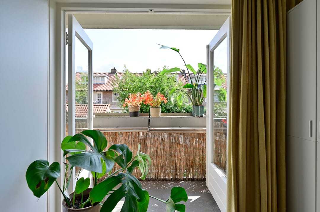 Foto 11 van Bosdrift 211