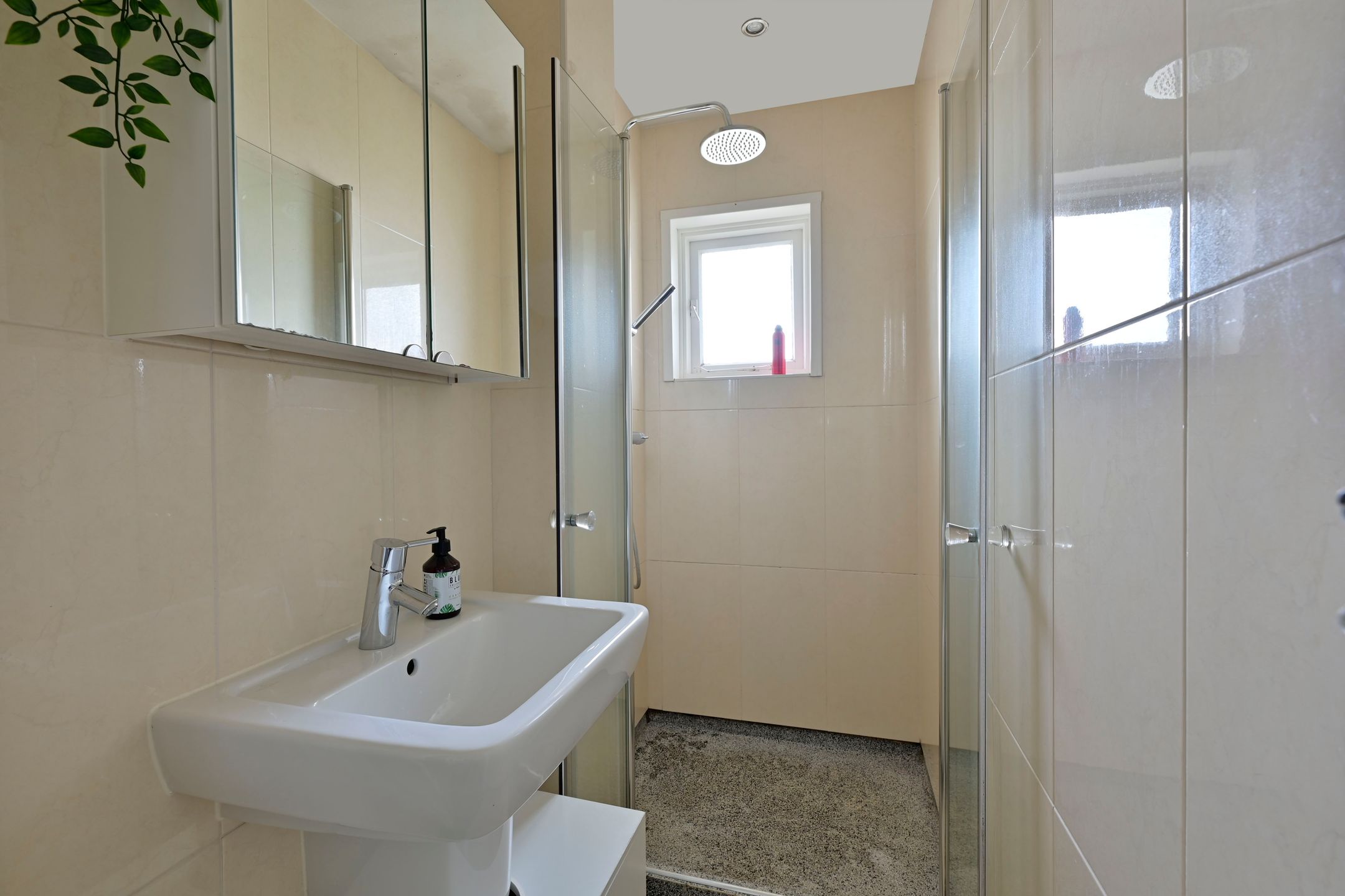 Foto 12 van Bosdrift 211