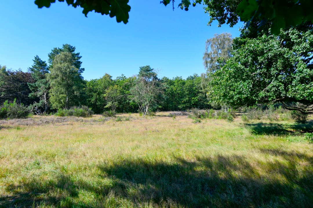 Foto 16 van Bosdrift 211