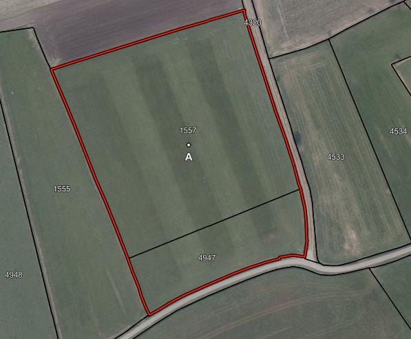 Bekijk foto 3 van Nieuweweg