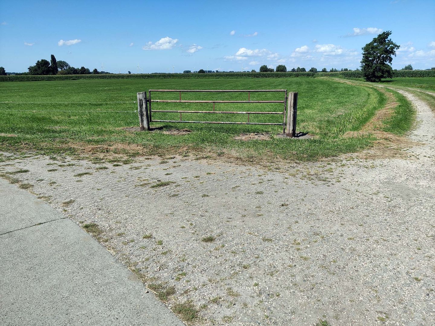 Bekijk foto 5 van Nieuweweg
