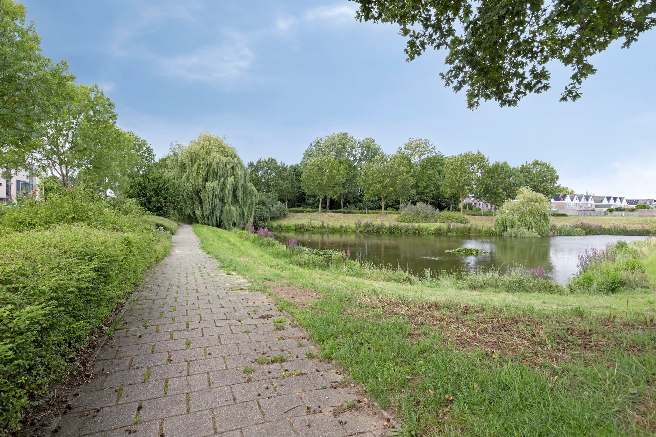 Foto 39 van De Bogaert 17