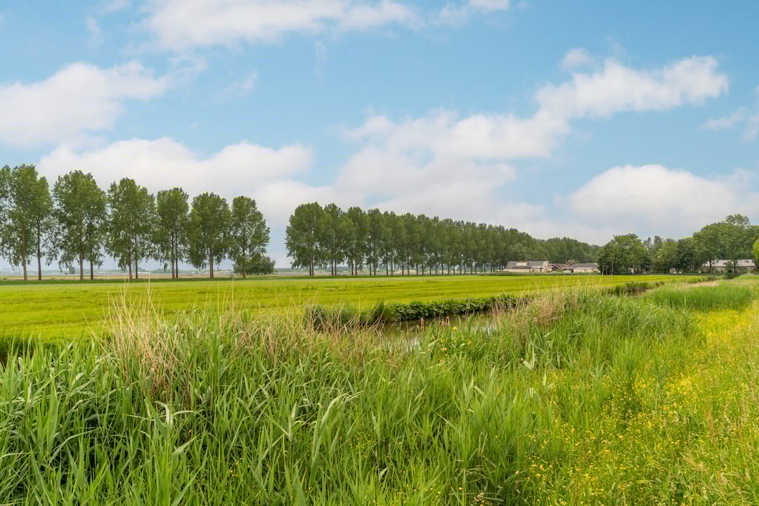 Foto 32 van Meerpaal 29