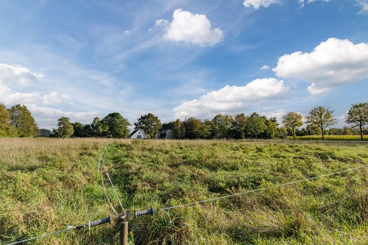 Foto 4 van Westerhuizingerweg 43