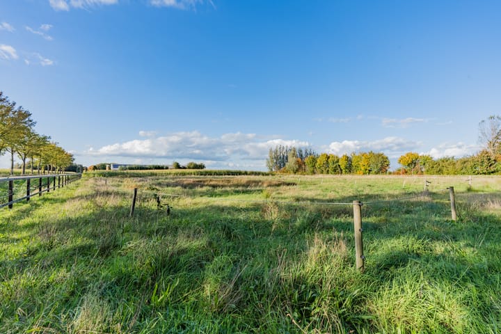 Foto 30 van Westerhuizingerweg 43