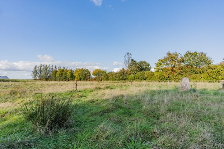 Foto 31 van Westerhuizingerweg 43