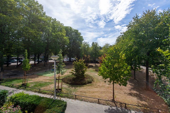 Photo 15 of Alpenlaan 187