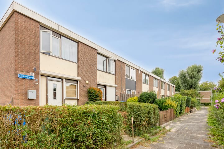 Foto 26 van Molièreweg 77