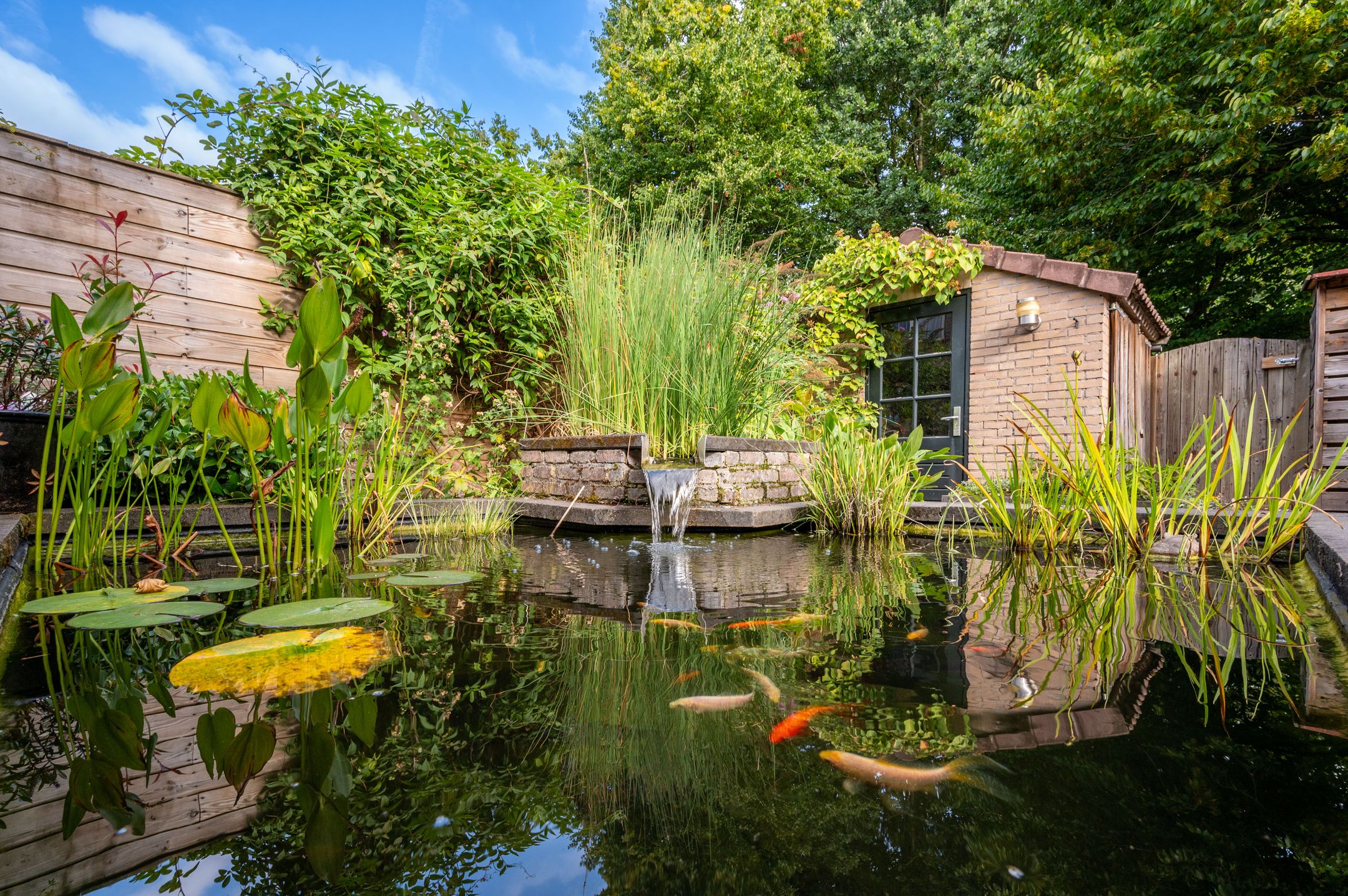 Foto 30 van Bierbrouwershorst 609