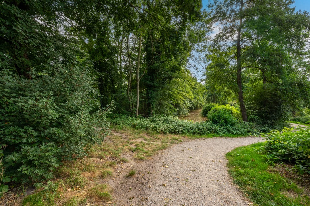 Foto 31 van Bierbrouwershorst 609