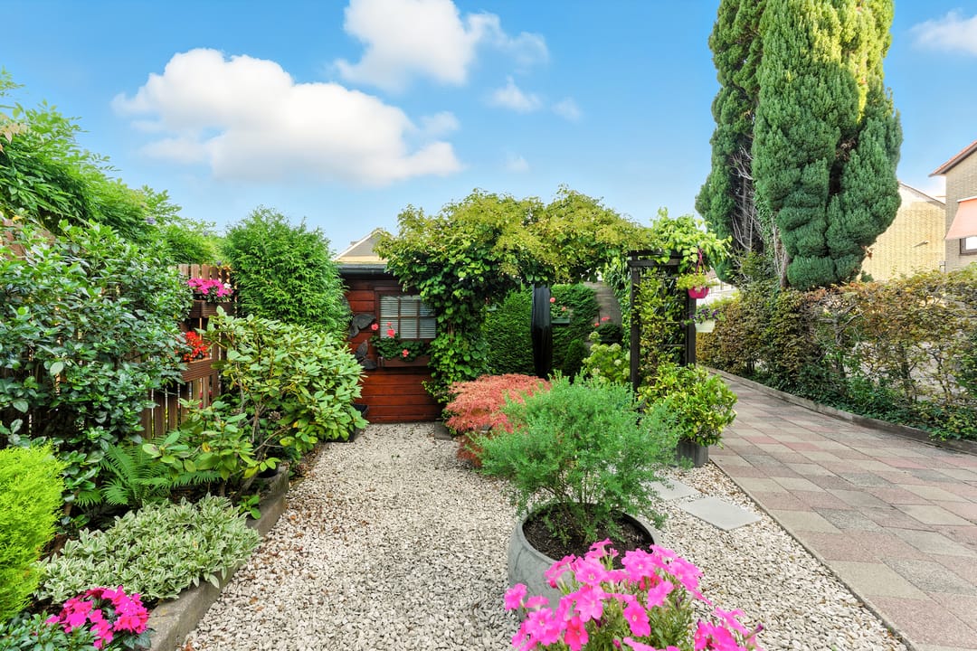 Foto 37 van Pruimendijk 31