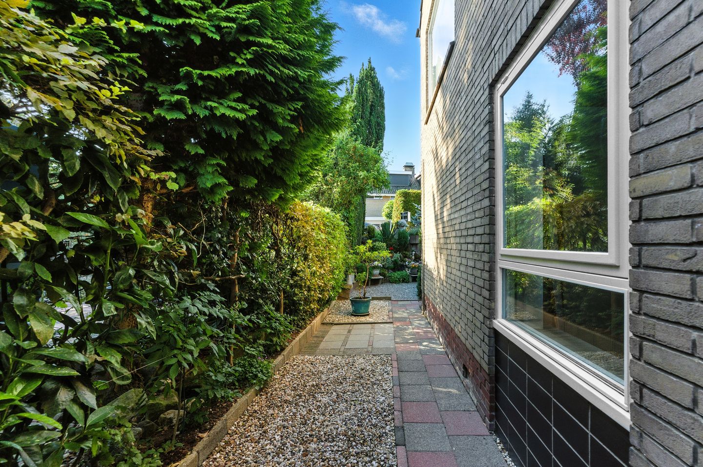 Foto 49 van Pruimendijk 31