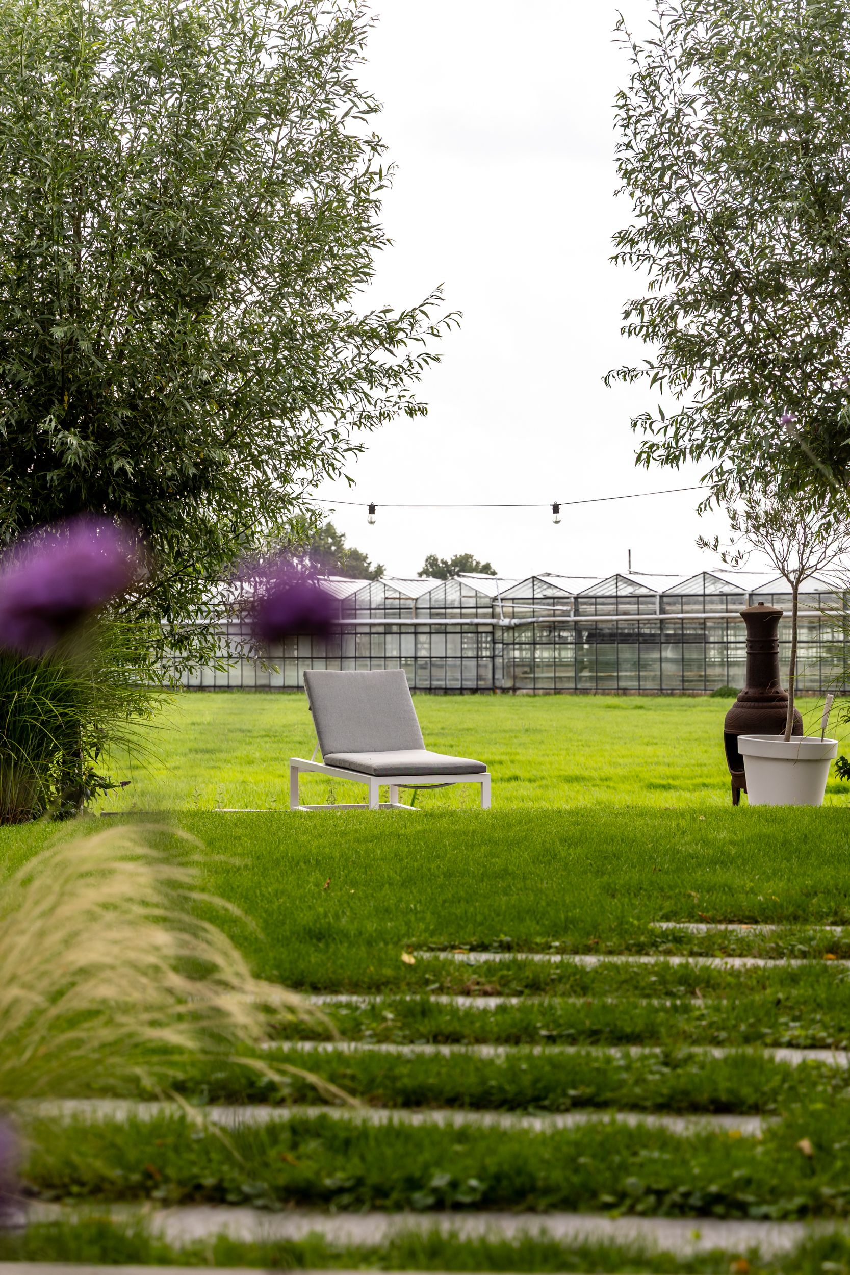 Foto 42 van Westringdijk 50