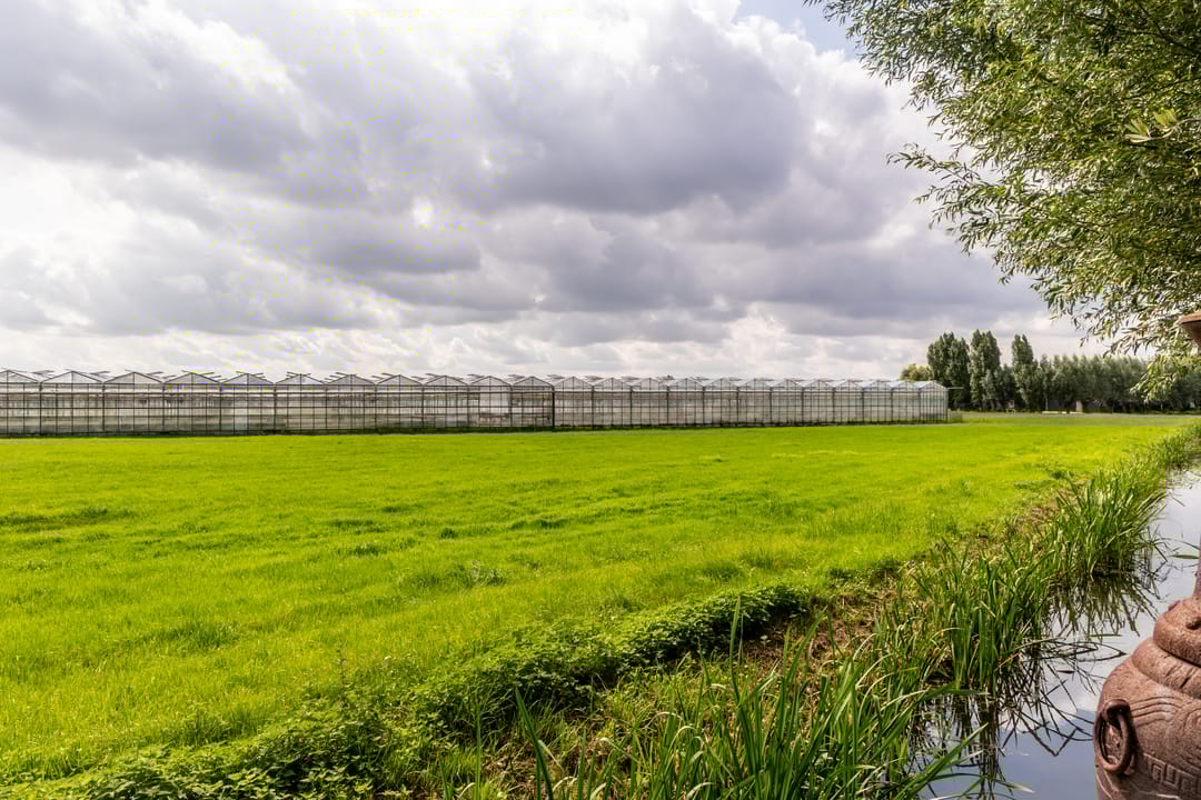 Foto 43 van Westringdijk 50