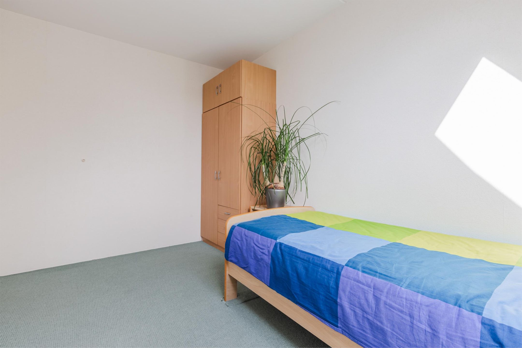 Foto 18 van Alstroemeriastraat 11