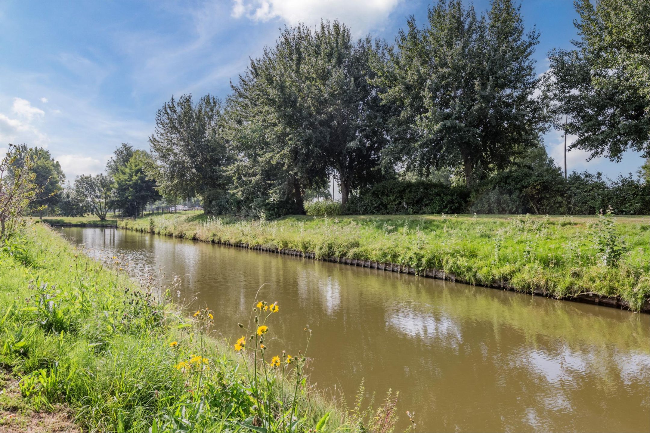 Foto 36 van Alstroemeriastraat 11