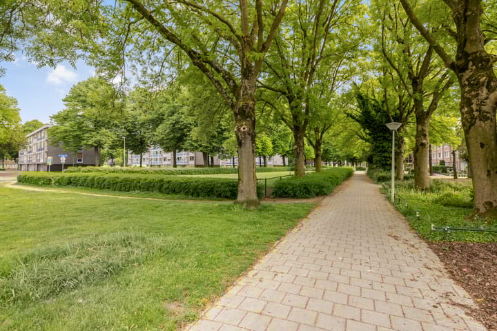 Foto 34 van van Norenburchstraat 13