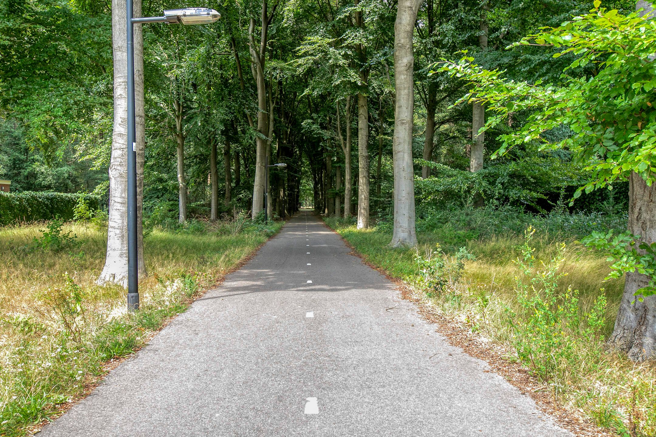 Foto 42 van Kometenlaan 28