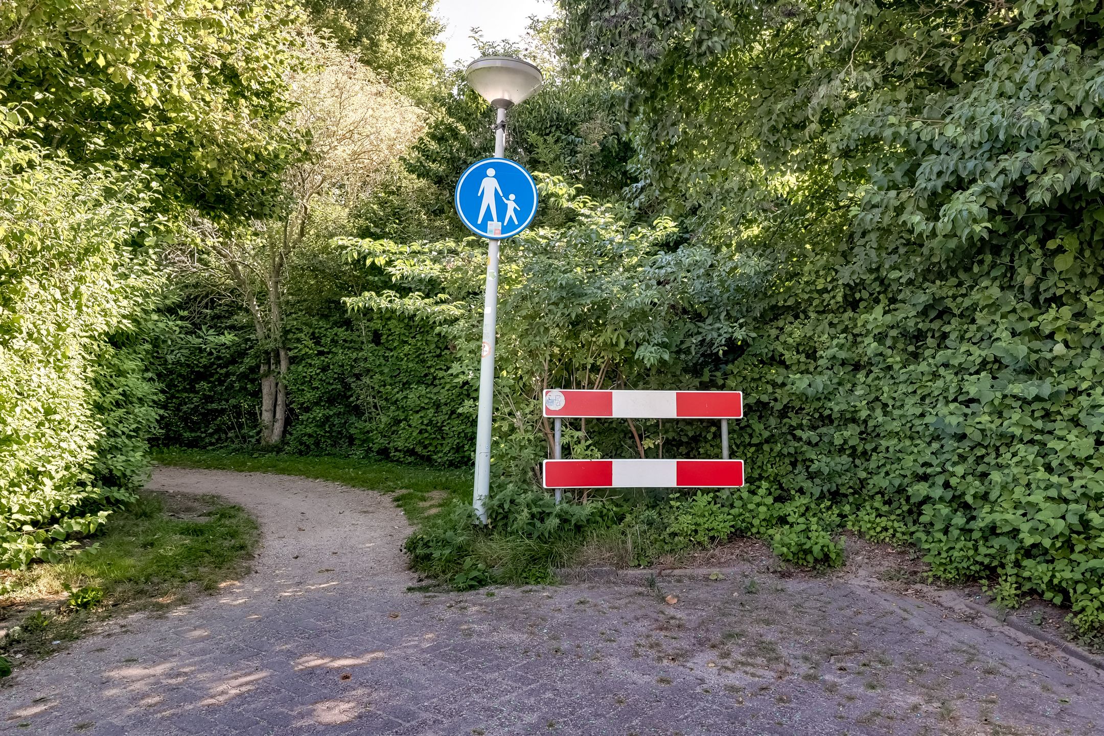 Foto 60 van Kaar 42