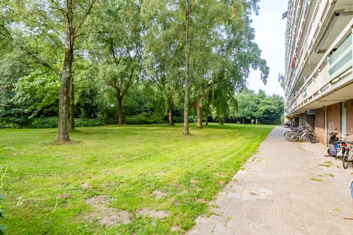 Foto 34 van Zangvogelweg 28