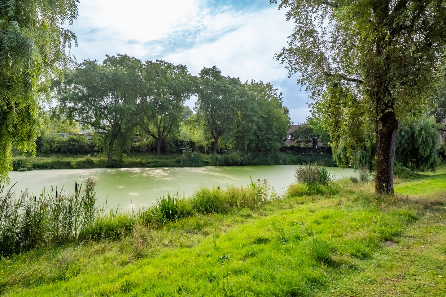 Foto 35 van Zangvogelweg 28