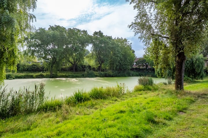 Foto 35 van Zangvogelweg 28