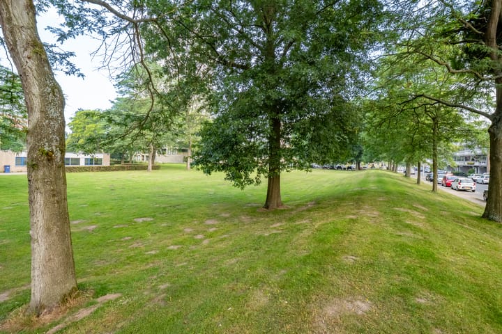 Foto 37 van Zangvogelweg 28