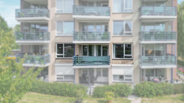 Foto 4 van Veldzuring 23