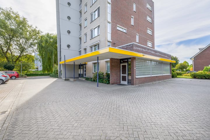 Foto 5 van Veldzuring 23