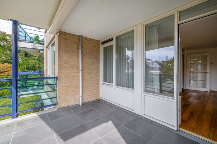 Foto 10 van Veldzuring 23