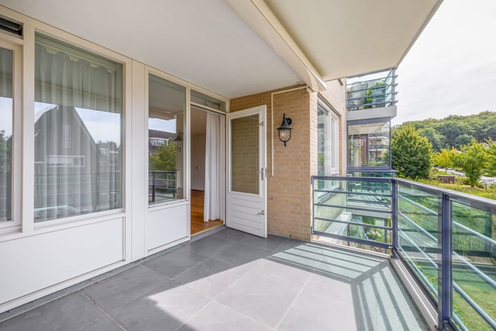 Foto 11 van Veldzuring 23