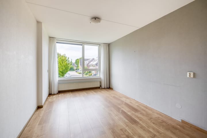 Foto 14 van Veldzuring 23