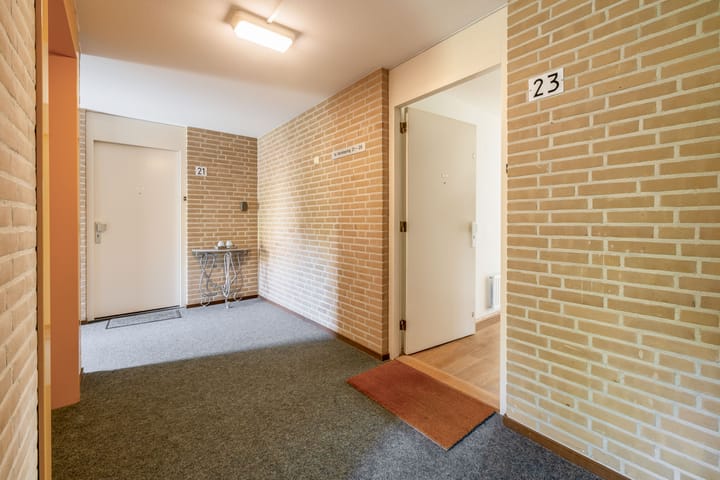 Foto 19 van Veldzuring 23