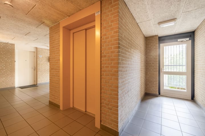 Foto 20 van Veldzuring 23