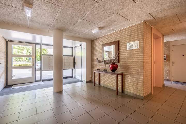 Foto 21 van Veldzuring 23