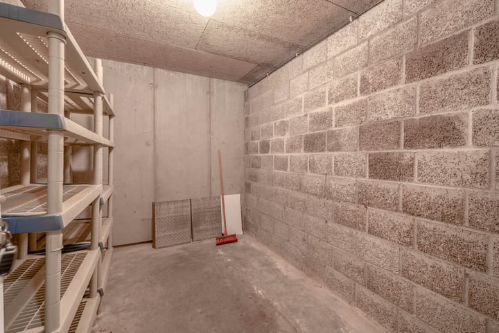 Foto 22 van Veldzuring 23