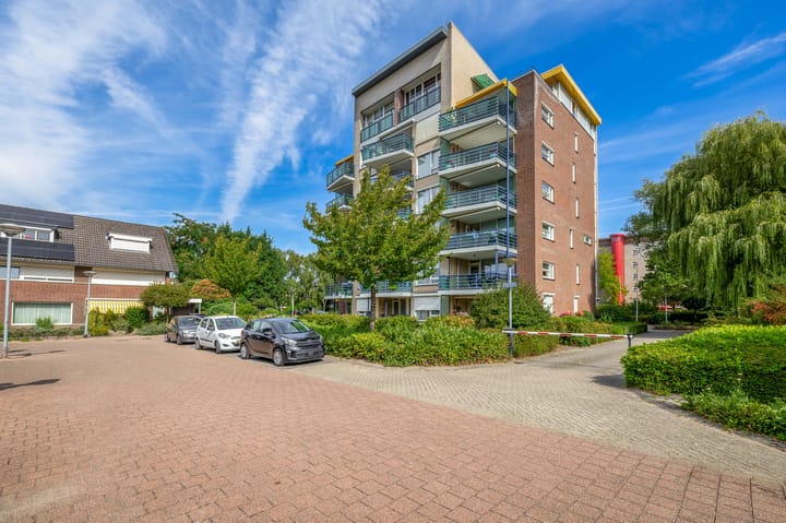 Foto 26 van Veldzuring 23